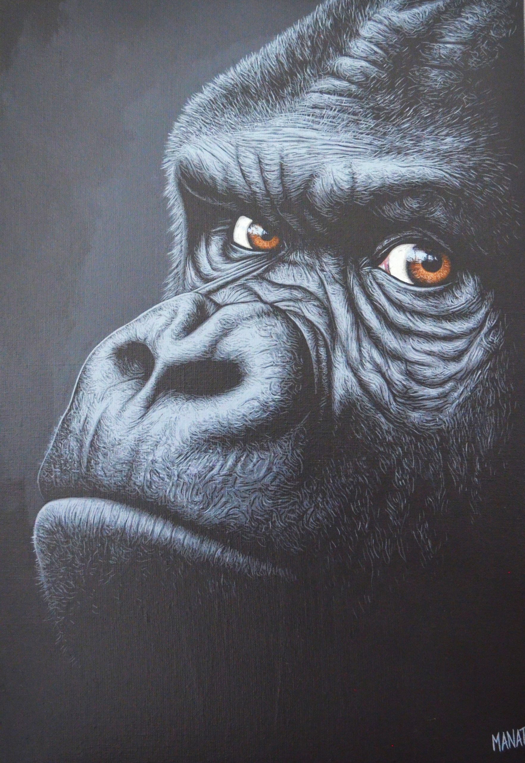 GOMA 55 x 38